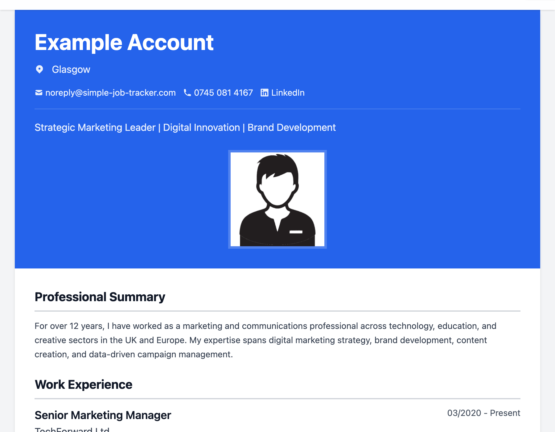 Example CV built with Simple CV Builder, showing a professional summary and work experience